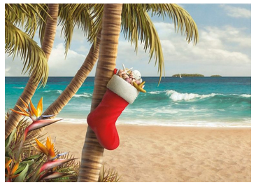 Wishing you a warm tropical Merry Christmas!